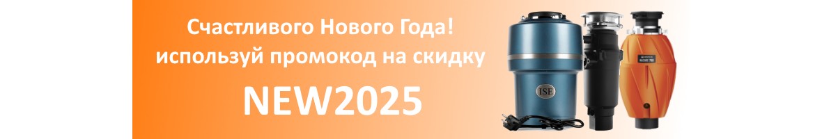 NEW YEAR 2025